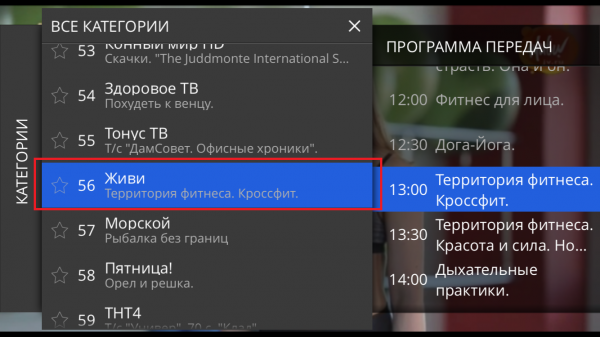 StalkerTV IOS ПросмотрТелепрограммы 1.png